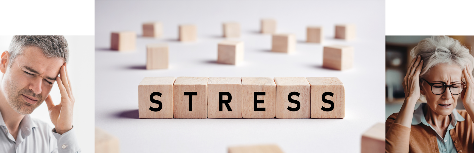 Stress Blocks and Stressed Adults