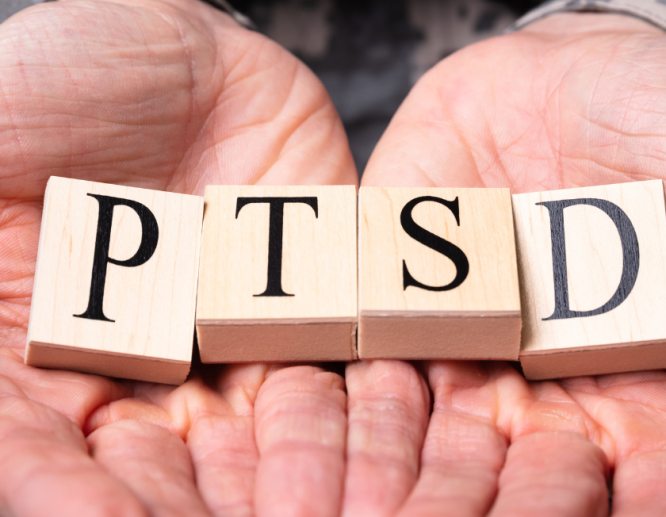 Hands Holding the Letters PTSD