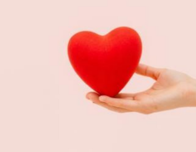 hand holding red heart